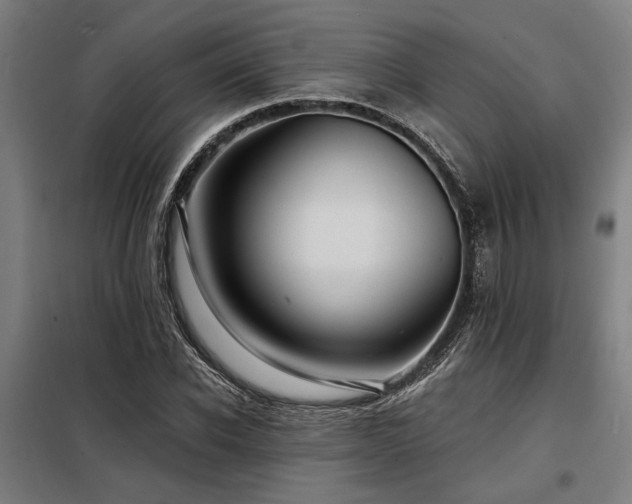 X0000098170926200804241152