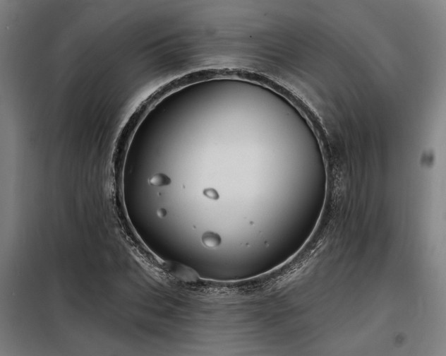 X0000098170927200804241152