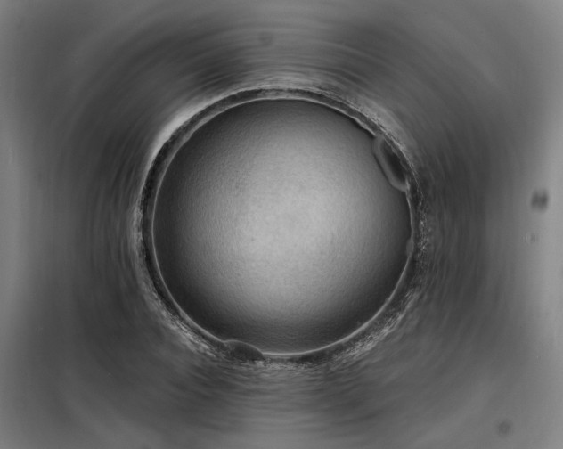 X0000098170928200804241152