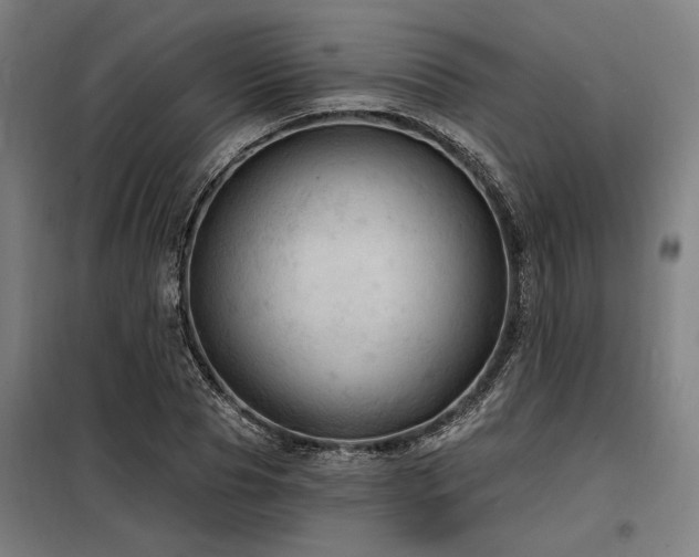 X0000098170929200804241152