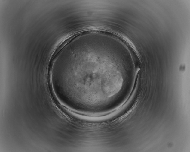 X0000098170930200804241152