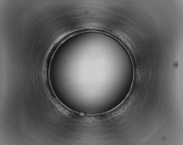 X0000098170931200804241152