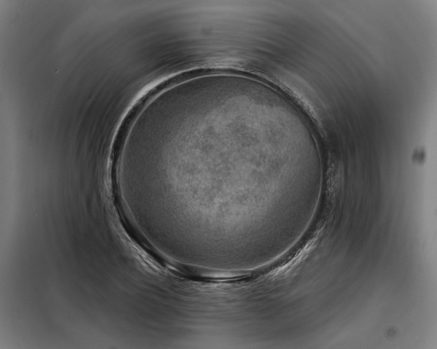 X0000098170932200804241152