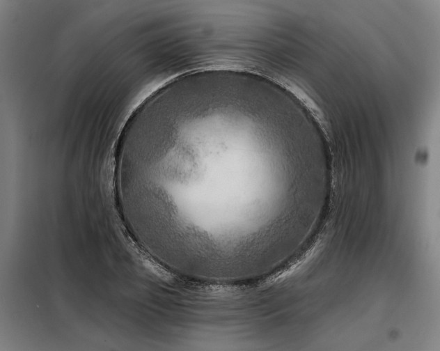 X0000098170933200804241152