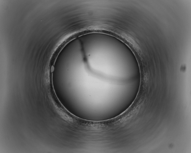 X0000098170934200804241152