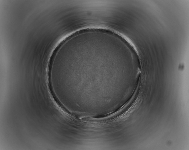 X0000098170935200804241152