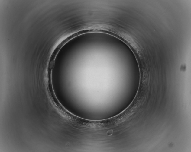 X0000098170936200804241152