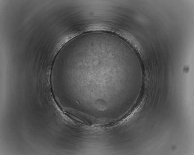 X0000098170937200804241152