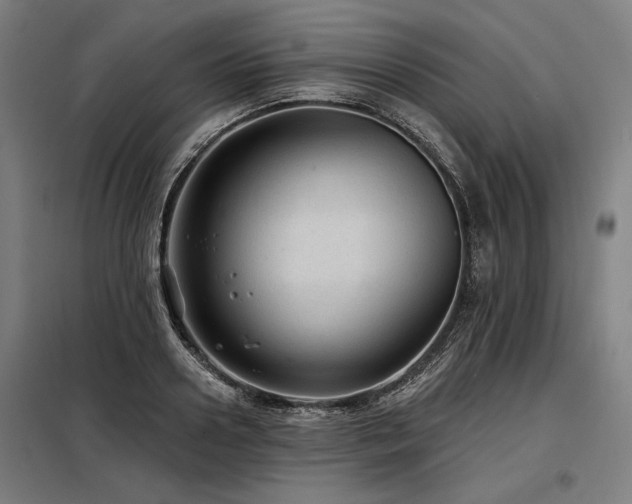 X0000098170938200804241152