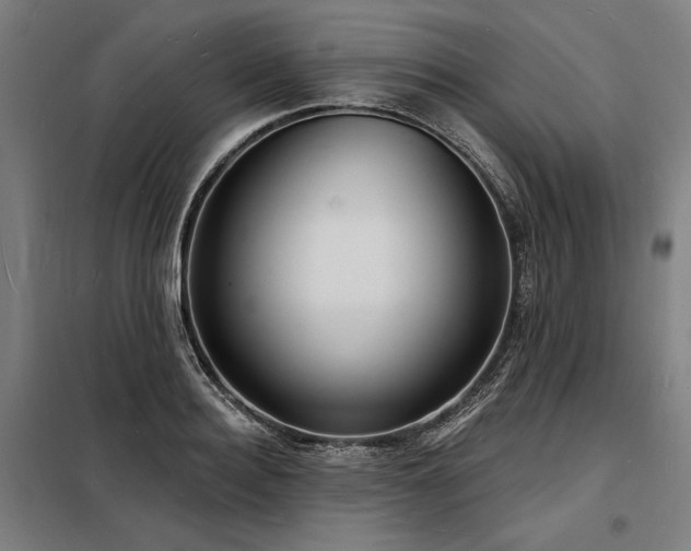 X0000098170940200804241152