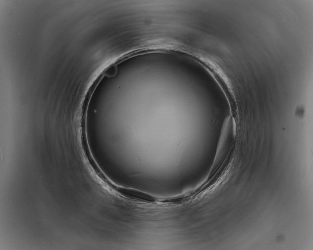 X0000098170941200804241153