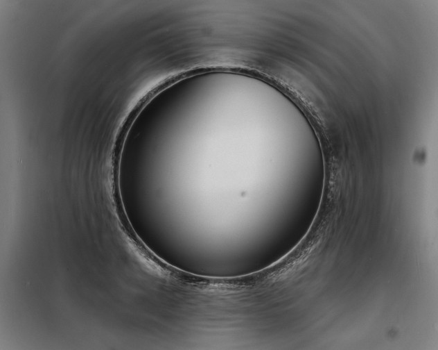 X0000098170942200804241153