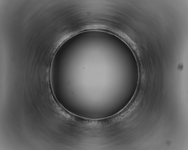 X0000098170945200804241153