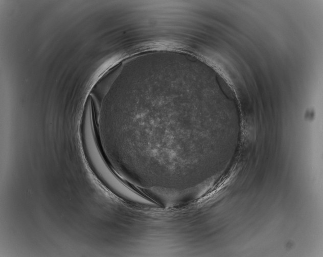 X0000098170946200804241153