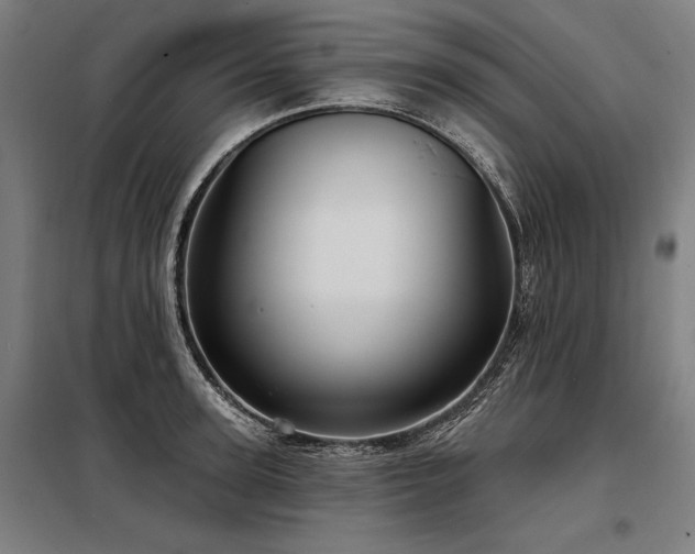 X0000098170947200804241153