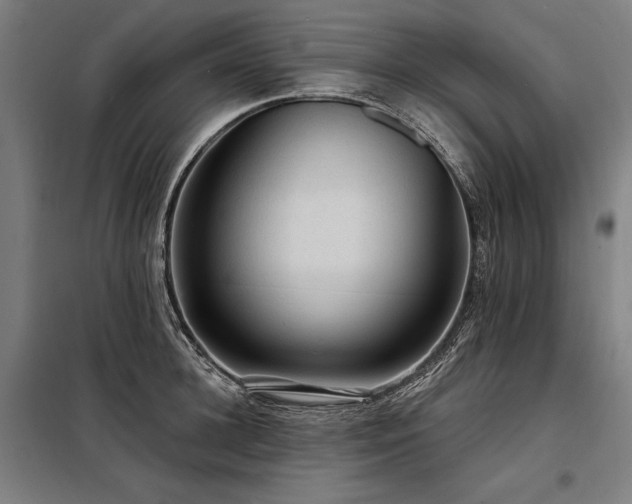 X0000098170948200804241153