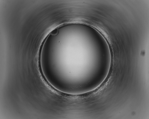 X0000098170949200804241153