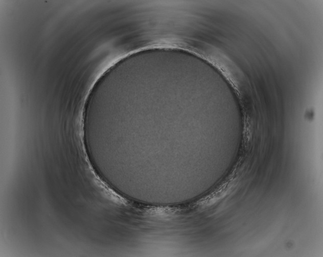 X0000098170950200804241153