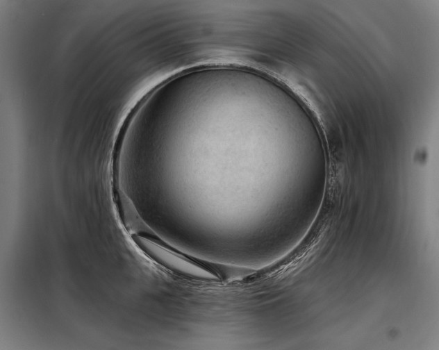 X0000098170951200804241153