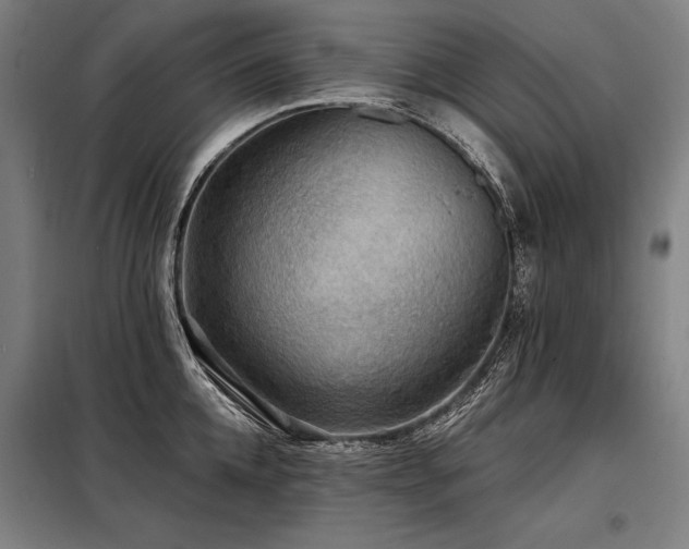 X0000098170952200804241153