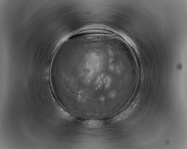 X0000098170953200804241153