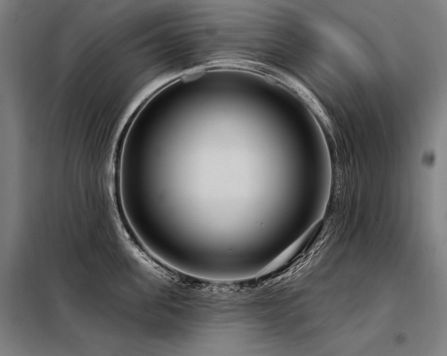 X0000098170955200804241153