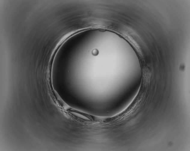 X0000098170956200804241153