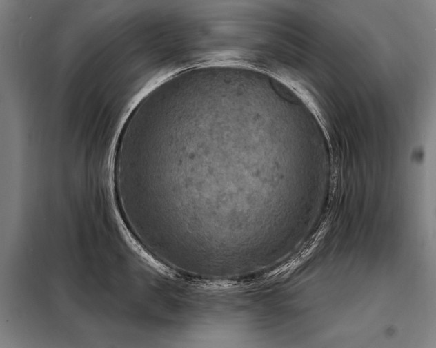 X0000098170957200804241153