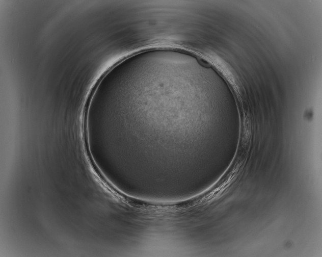 X0000098170958200804241153