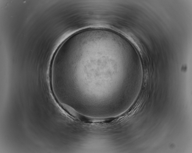 X0000098170959200804241153