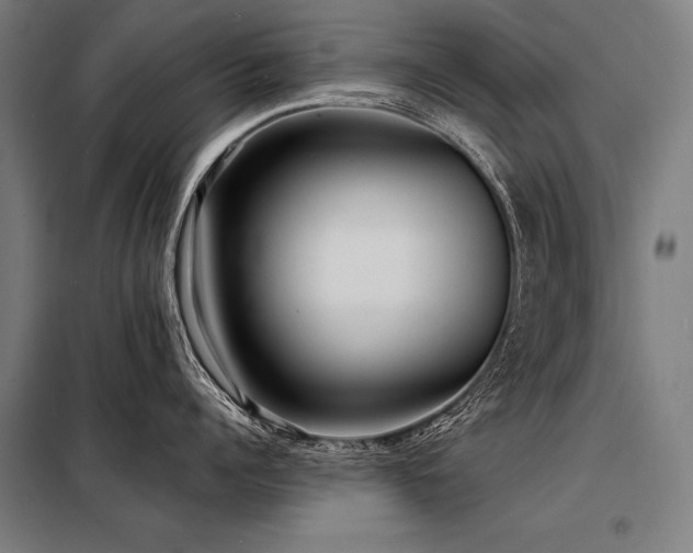 X0000098170960200804241153