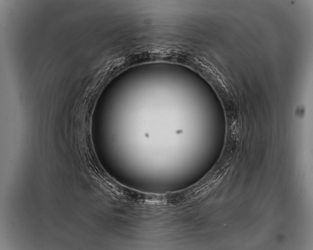 X0000098170961200804241152