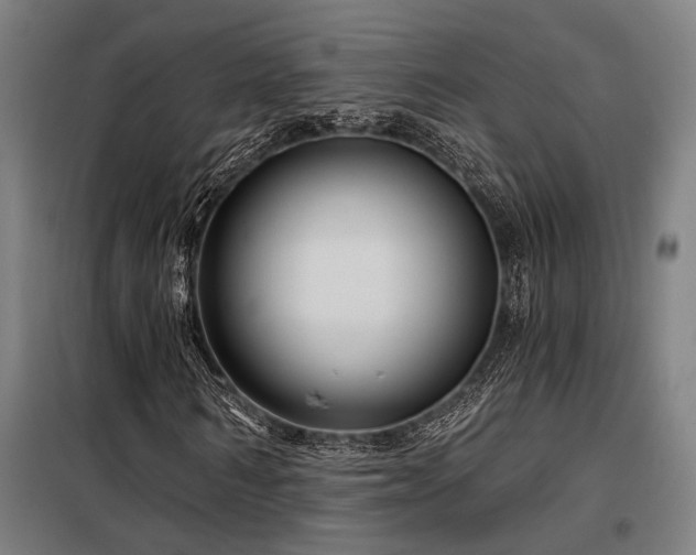 X0000098170962200804241152