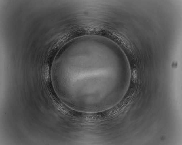 X0000098170963200804241152