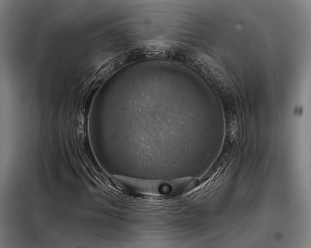 X0000098170964200804241152