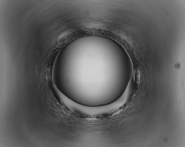 X0000098170965200804241152