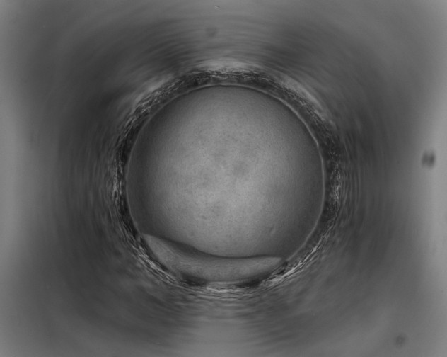 X0000098170966200804241152