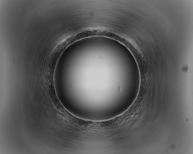 X0000098170967200804241152