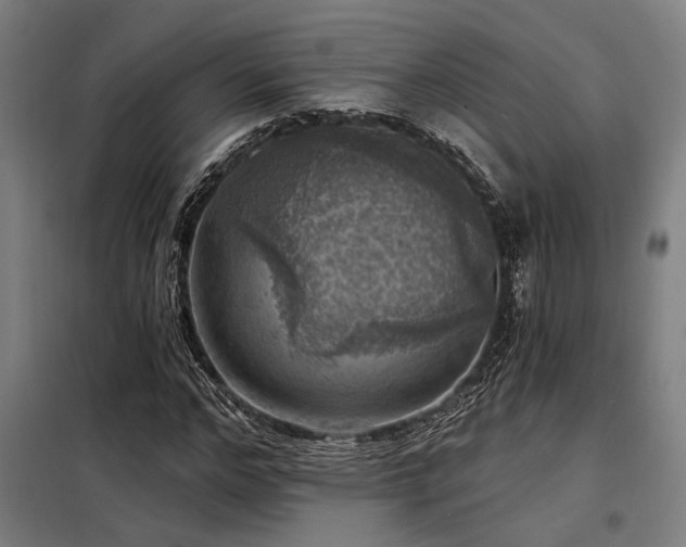 X0000098170968200804241152