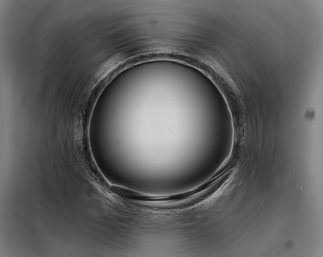 X0000098170969200804241152