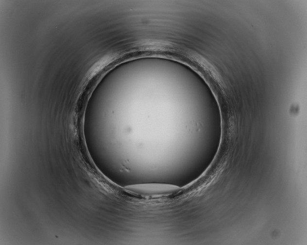 X0000098170970200804241152