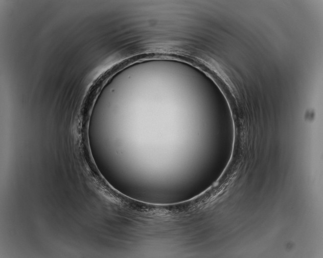 X0000098170971200804241152