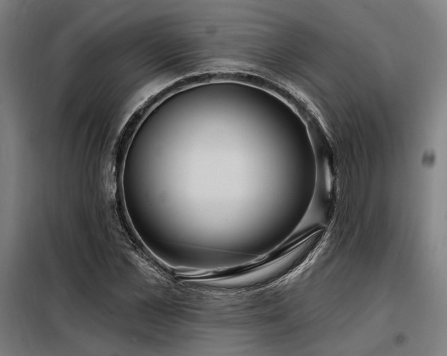 X0000098170973200804241152