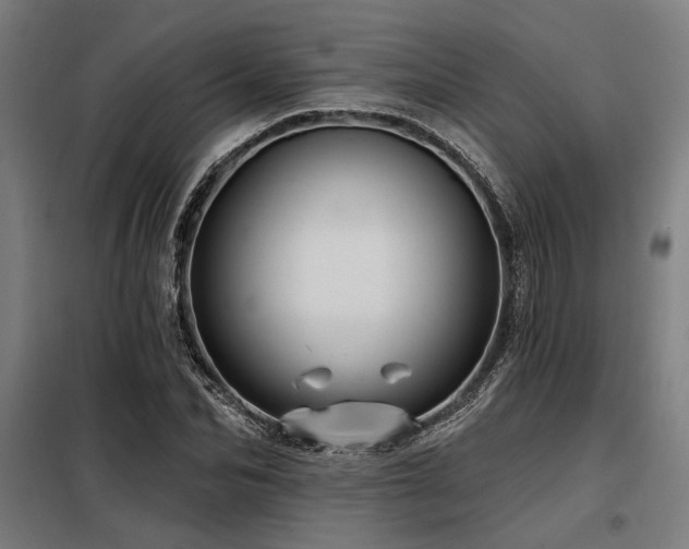 X0000098170974200804241152