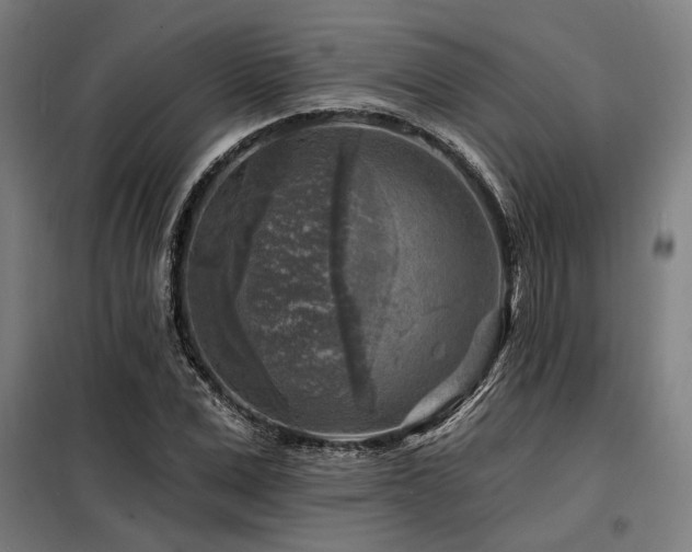 X0000098170975200804241152