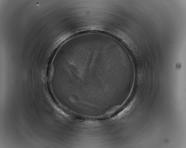 X0000098170977200804241152