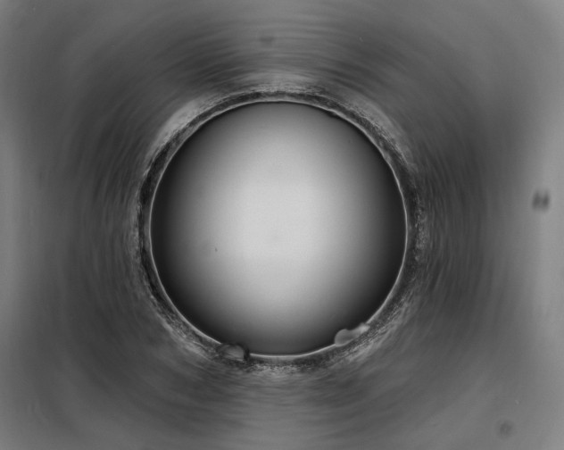 X0000098170978200804241152