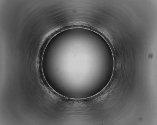 X0000098170979200804241152