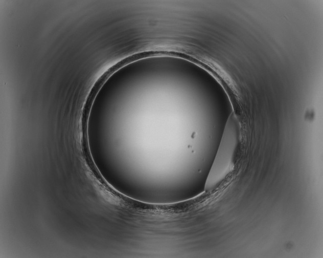 X0000098170980200804241152