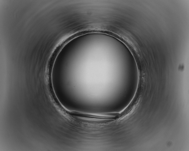 X0000098170981200804241152